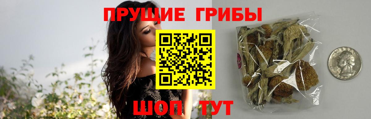 Галлюциногенные грибы ЛСД  Вход с VPN  Мелеуз 